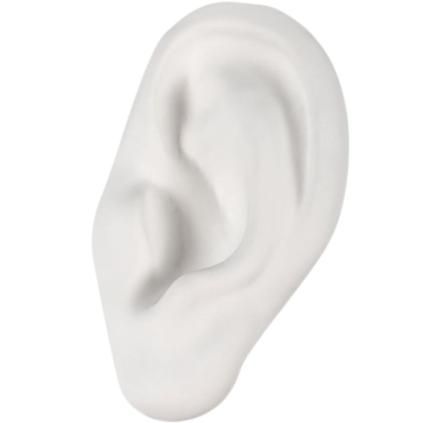 Décoration d'intérieur oreille en porcelaine MEMORABILIA MVSEVM 24,5 cm, blanc, Seletti