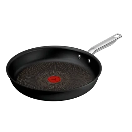 231217 panev experience 30 cm neprilnava tefal