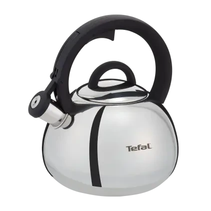 231046 varna konvice duetto 2 5 l stribrna nerezova ocel tefal