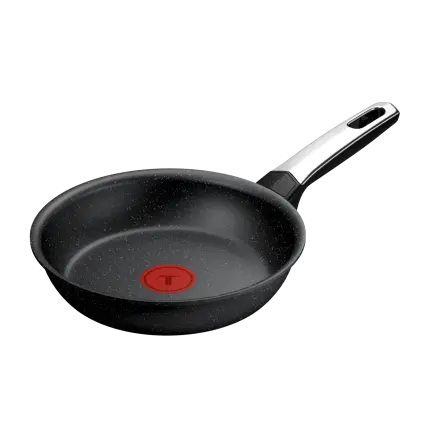 231052 panev expertise 20 cm titan tefal