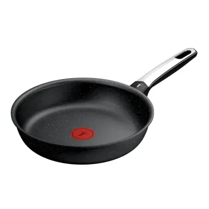 231043 panev expertise 24 cm titan tefal