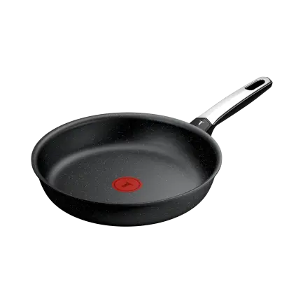 231049 panev expertise 26 cm titan tefal