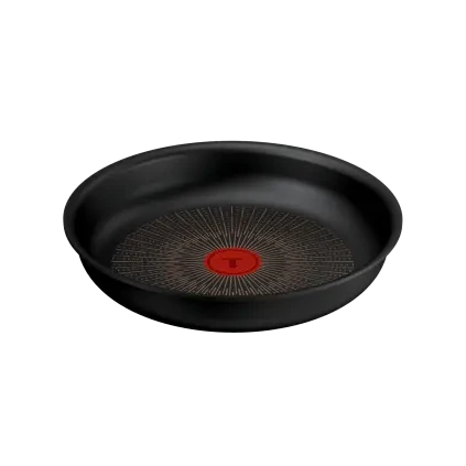 231076 panev ingenio excellence fusion 24 cm titan tefal