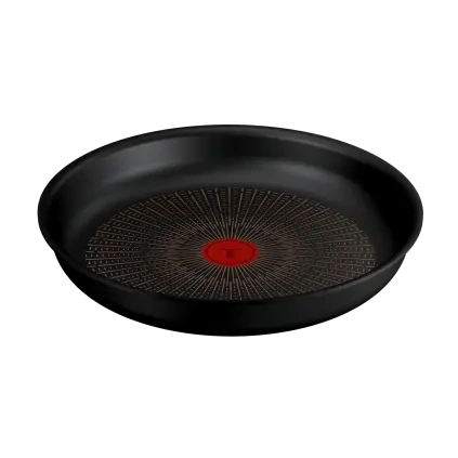 231079 panev ingenio excellence fusion 28 cm titan tefal