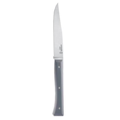 231994 jidelni nuz facette 11 cm sada 4 ks bridlicova opinel