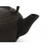 Théière TIBET 1,2 l, en fonte, Bredemeijer