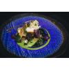 Assiette COBALT BLUE 27 cm, MIJ