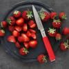 Set de couteaux RED SPIRIT, 5 pièces, avec support magnétique blanc, F.DICK