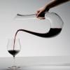 Décanteur à vin AMADEO 1,5 l, Riedel