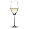 Flûte à champagne AUTHENTIS, set de 4 pièces, 270 ml, Spiegelau