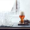 Verre à bière CRAFT BEER CLASSICS IPA GLASS, set de 6 pièces, 540 ml, Spiegelau