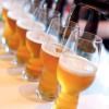 Verre à bière CRAFT BEER CLASSICS IPA GLASS, set de 6 pièces, 540 ml, Spiegelau