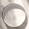Assiette CARACTERE GOURMET, blanc White Cumulus, REVOL