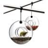 Mangeoire à oiseaux 14 cm, suspendu, verre, Eva Solo
