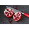 Couteau de chef RED SPIRIT 21 cm, F.Dick