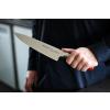 Couteau de chef RED SPIRIT 21 cm, F.Dick