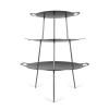 Plaque de cuisson barbecue sur feu ouvert FS38 38 cm, Petromax