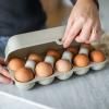 Boîte de rangement pour œufs EGGS TO GO 28 cm, pour 10 œufs, soleil du désert, Koziol