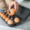 Boîte de rangement pour œufs EGGS TO GO 28 cm, pour 10 œufs, gris cendre, Koziol