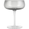Coupe à champagne BELO, set de 2 pc, 200 ml, gris, Blomus