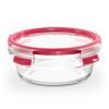 Bocal de rangement MASTER SEAL GLASS N1040310 600 ml, Tefal