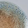 Assiette EARTH & SKY 29 cm, MIJ