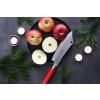 Couteau de chef AJAX RED SPIRIT 20 cm, F.Dick