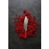 Couteau de chef AJAX RED SPIRIT 20 cm, F.Dick