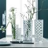 Vase BOSSA NOVA 28 cm, étroit, en verre, Nachtmann