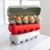 Boîte rangement pour oeufs EGGS TO GO 28 cm, pour 10 oeufs, coton blanc, Koziol
