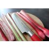 Couteau japonais tanto RED SPIRIT 21 cm, F.Dick