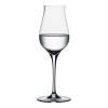 Verre à liqueur AUTHENTIS DIGESTIVE , set de 4 pièces, 170 ml, Spiegelau