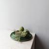 Assiette CARACTERE 28 cm, kaki, REVOL