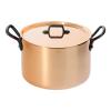 Cuivre haute pot avec fonte oreilles O 24 cm Inocuivre de Buyer