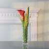 Vase BOSSA NOVA 16 cm, Nachtmann