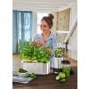 157166 3 samozavlazovaci kvetinac gourmet sada 3 ks bylinkova zahradka wmf
