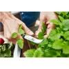 Couteau à légumes URBAN FARMER 8 cm, manche en bois, Wüsthof