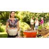 Barbecue de table au charbon XL, orange LotusGrill