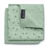 Chiffon en microfibres, set de 2 pc, vert, Brabantia