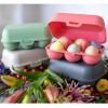 Boîte de rangement pour œufs EGGS TO GO MINI 17 cm, pour 6 œufs, gris cendré naturel, Koziol