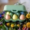 Boîte de rangement pour œufs EGGS TO GO MINI 17 cm, pour 6 œufs, vert feuillu, Koziol