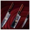 Set de couteaux Japonais JOSHI SAKURA, 4 pièces, avec pierre à aiguiser, coffret cadeau, Dellinger