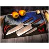 Set de couteaux Japonais JOSHI SAKURA, 4 pièces, avec pierre à aiguiser, coffret cadeau, Dellinger