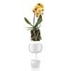 Pot de fleur auto arrosant 15 cm, pour orchidées, verre, Eva Solo
