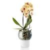 Pot de fleur auto arrosant 15 cm, pour orchidées, verre, Eva Solo