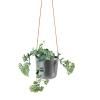Pot de fleur auto arrosant 15 cm, suspendu, gris acier, Eva Solo