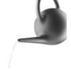 Arrosoir GLOBE 2,5 l, gris foncé, Eva Solo