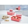 Bocal de rangement MASTER SEAL COLOUR EDITION N1030910 , set de 4 pc, rouge corail, plastique, Tefal