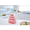 Bocal de rangement MASTER SEAL COLOUR EDITION N1030910 , set de 4 pc, rouge corail, plastique, Tefal