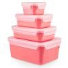 Bocal de rangement MASTER SEAL COLOUR EDITION N1030910 , set de 4 pc, rouge corail, plastique, Tefal